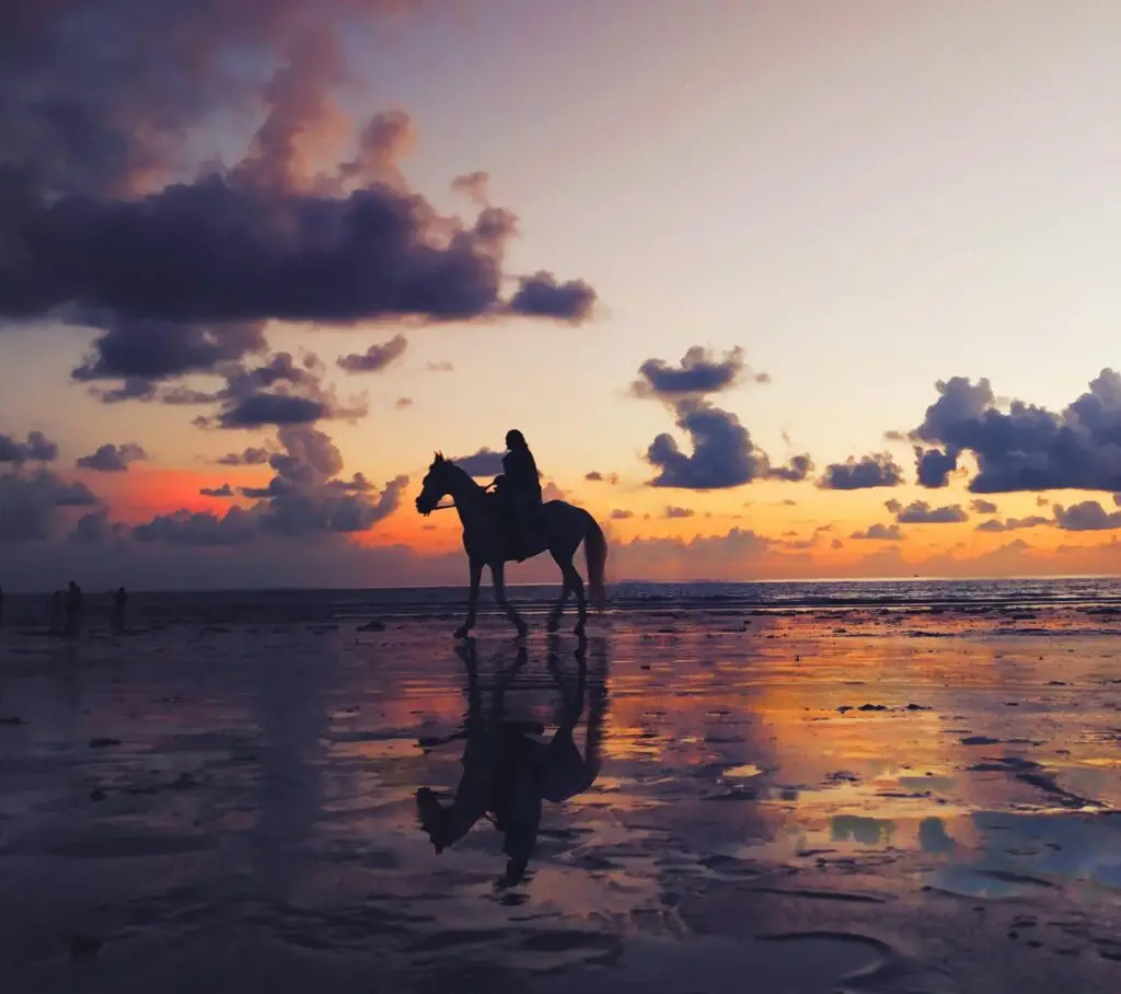 Reiten in der Natur auf Texel